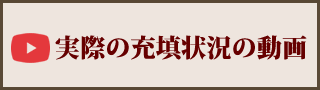 実際の充填状況の動画